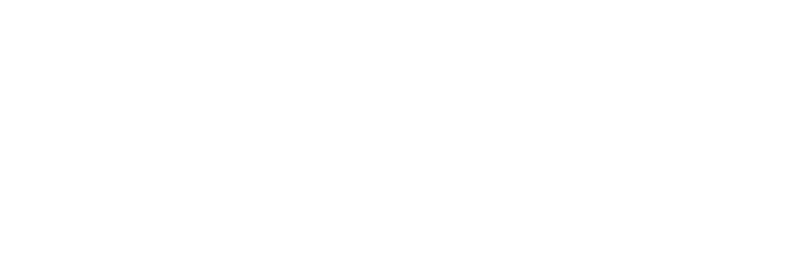 white Fintech logo trademarked